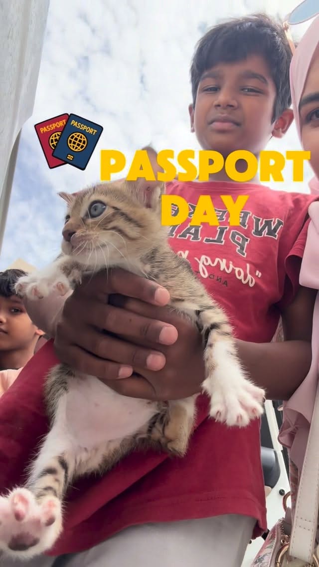 Post 9 by Sasna Madathil on Instagram (video)