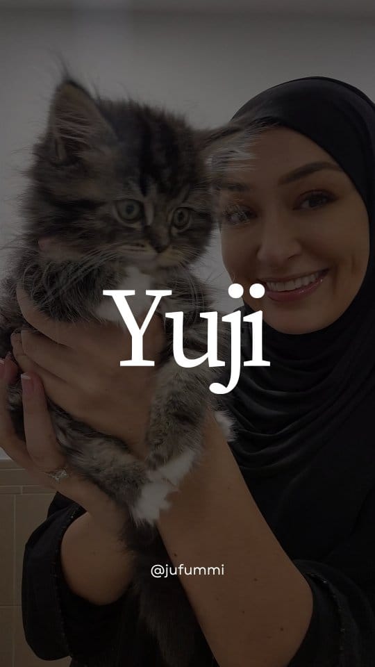 Post 9 by Shirin on Instagram (video)