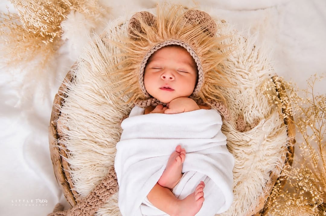 Post 7 by Little Thea Photography on Instagram (image)