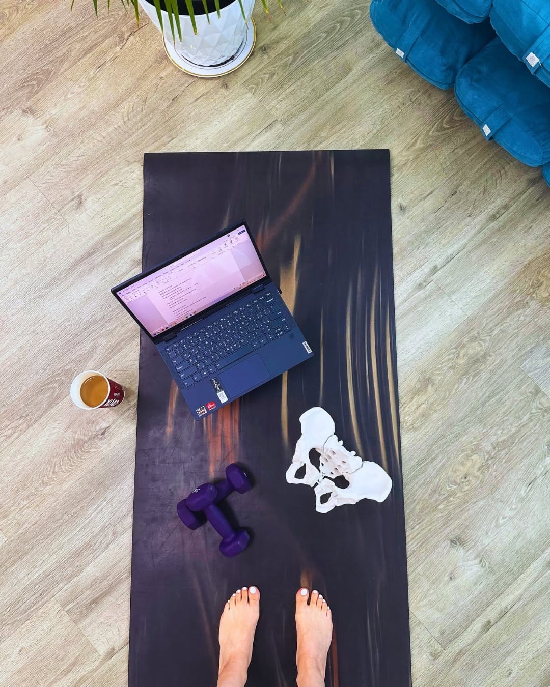 Post 7 by Allie | Pelvic Floor Physiotherapist on Instagram (image)