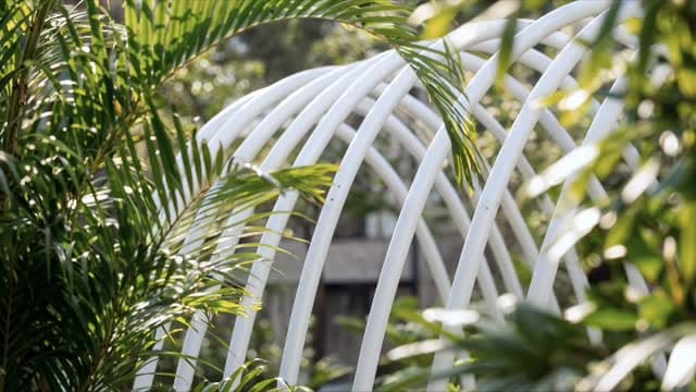 Post 4 by Urban & Landscape Design Studio on Instagram (video)
