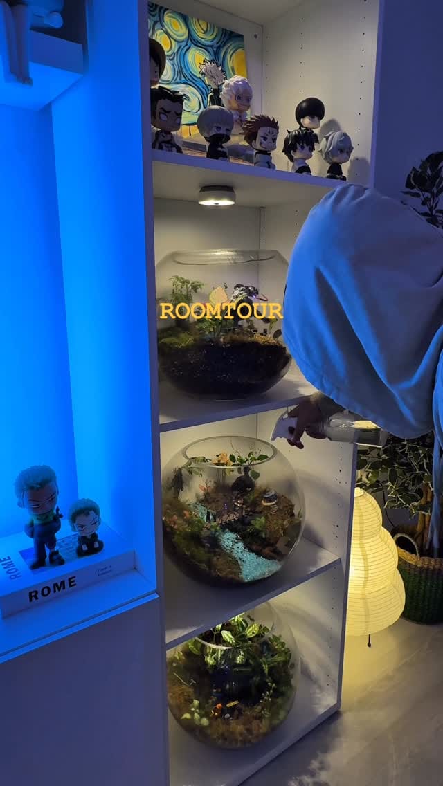 Post 2 by MoRoom on Instagram (video)