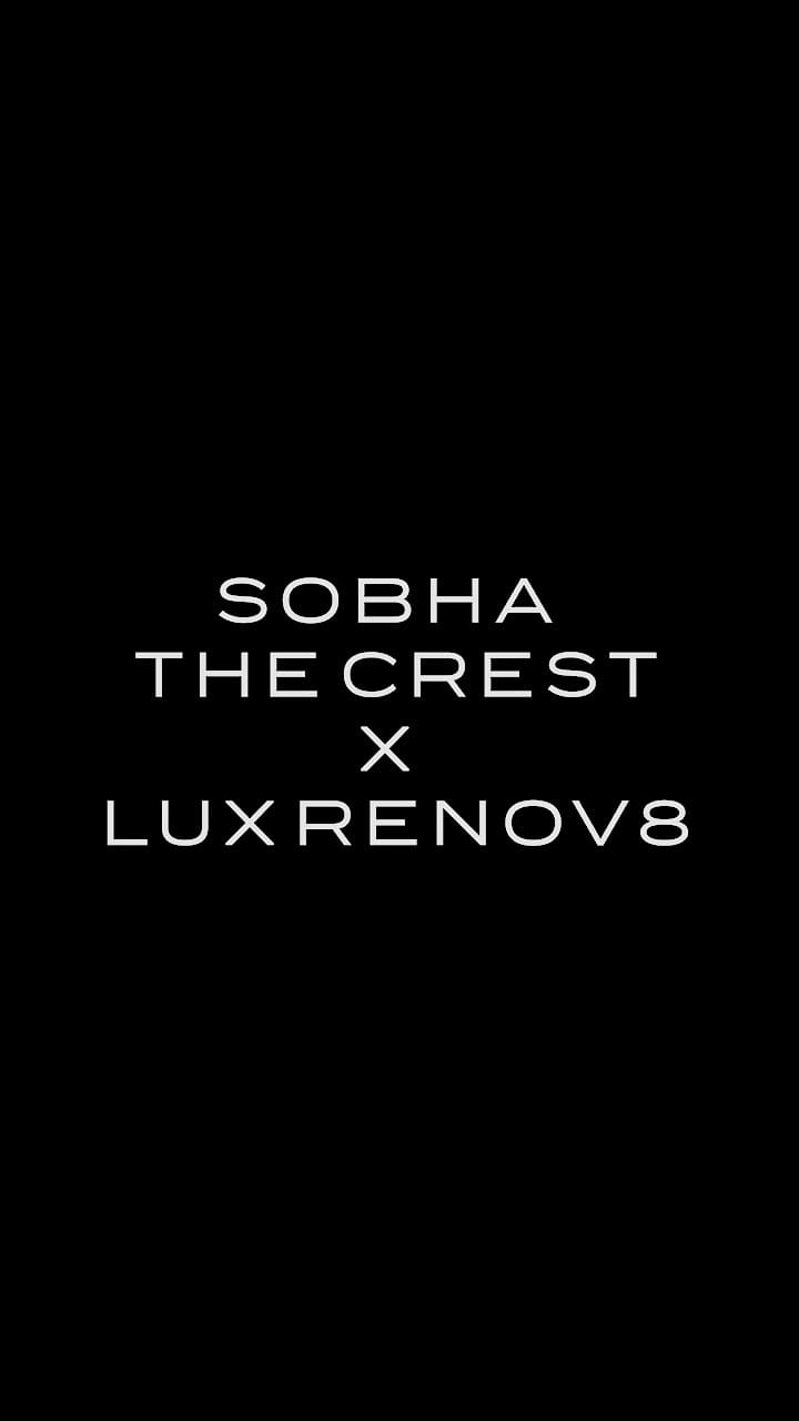 Post 2 by Lux Renov8 on Instagram (video)