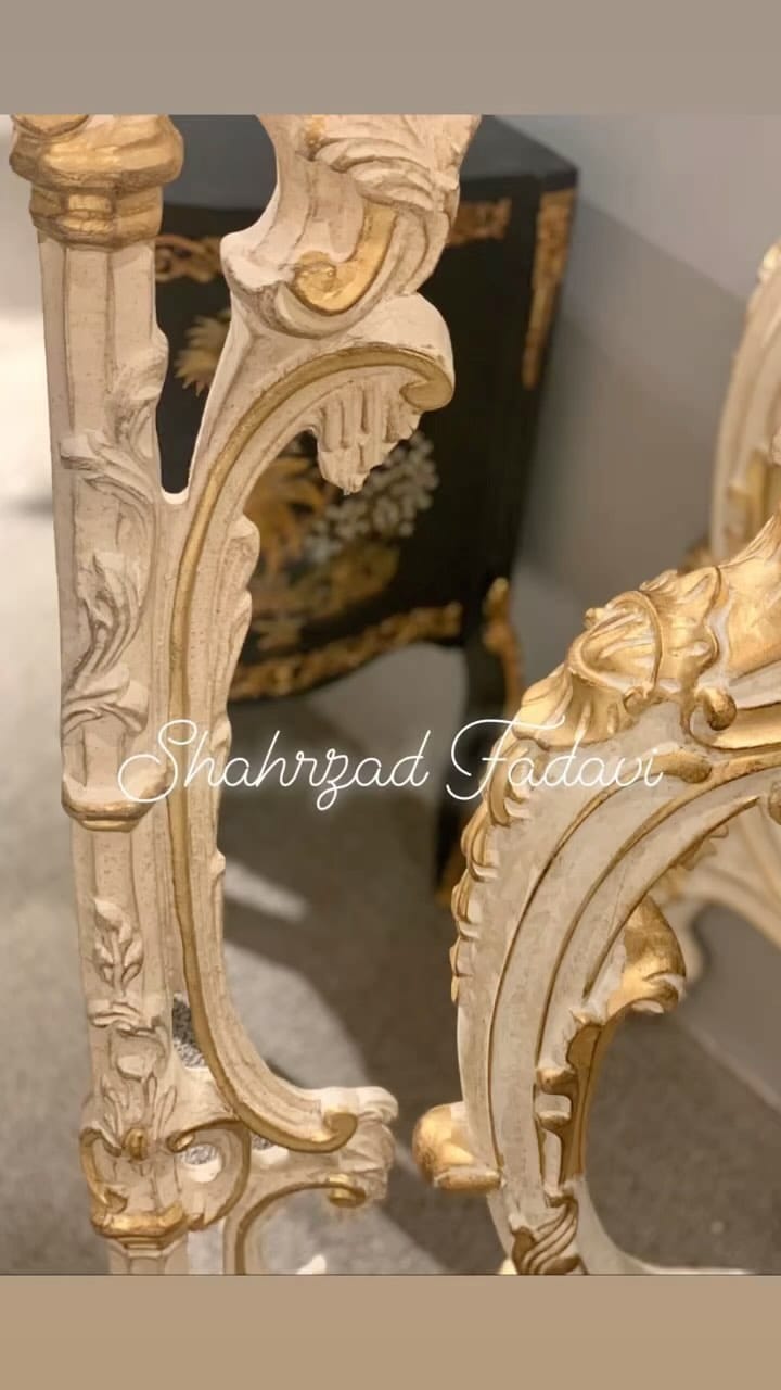 Post 8 by Fadavi Shahrzad شهرزاد فدوي on Instagram (video)