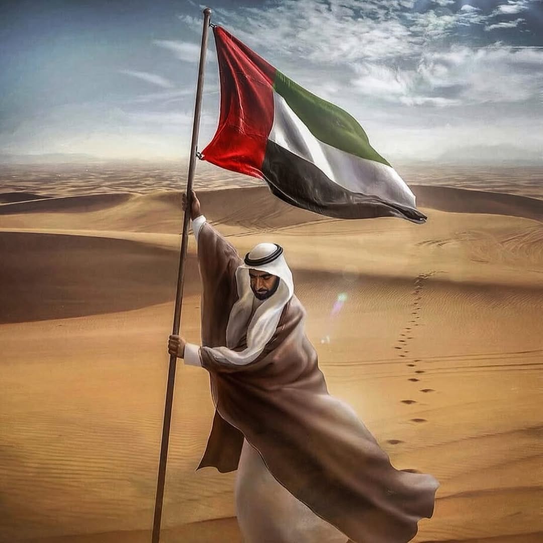 Post 7 by Amin Shoukat on Instagram (image)
