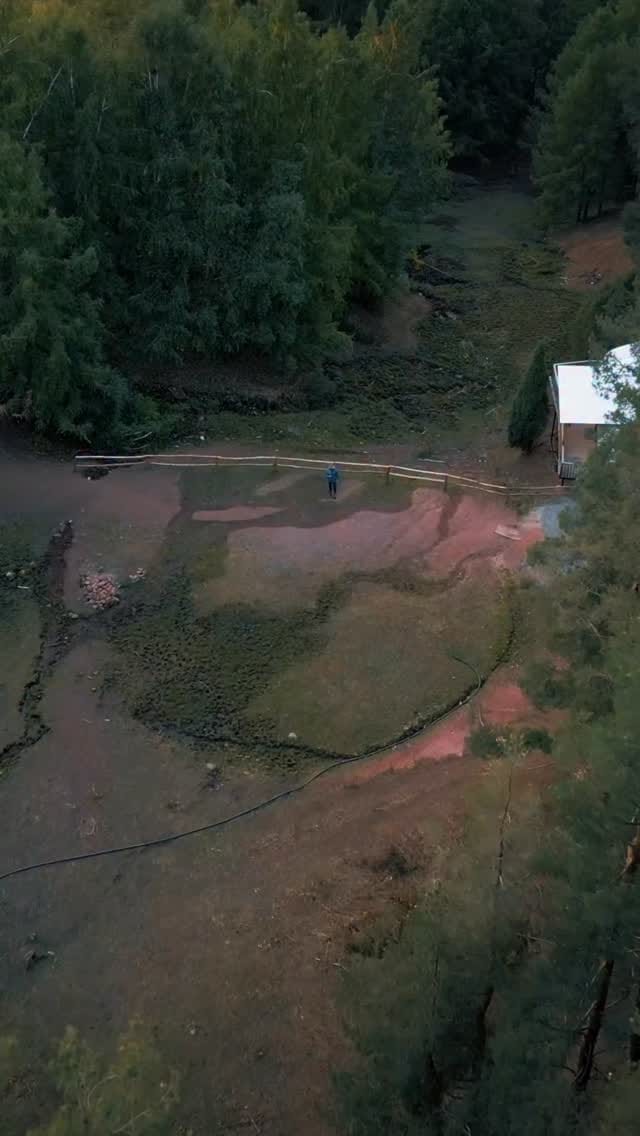 Post 2 by Sheridan Brass on Instagram (video)