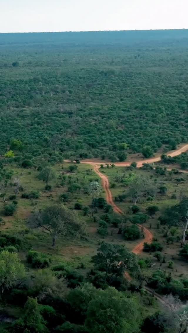 Post 9 by Sheridan Brass on Instagram (video)