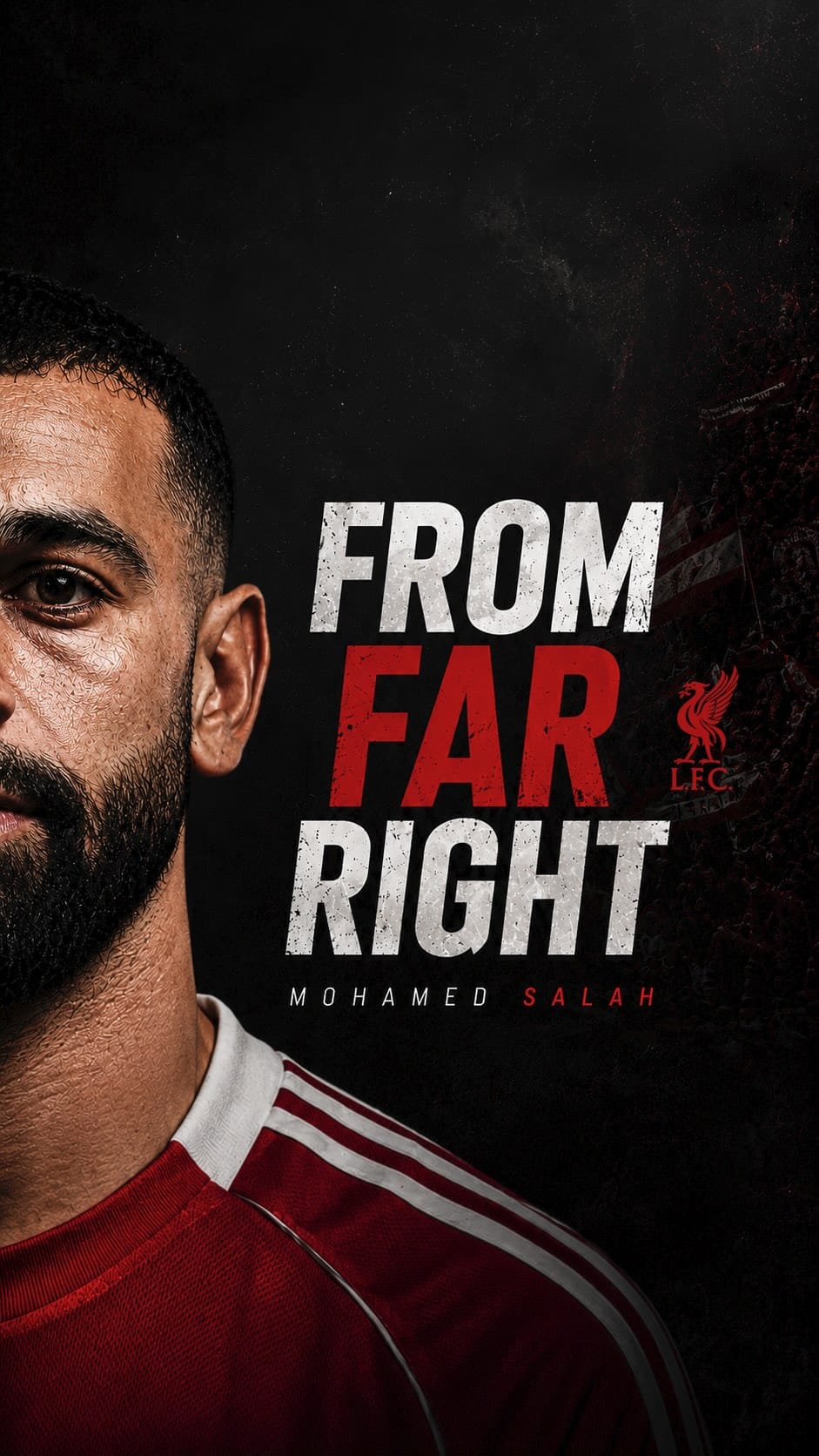Post 3 by Mahmoud Farid I محمود فريد on Instagram (video)