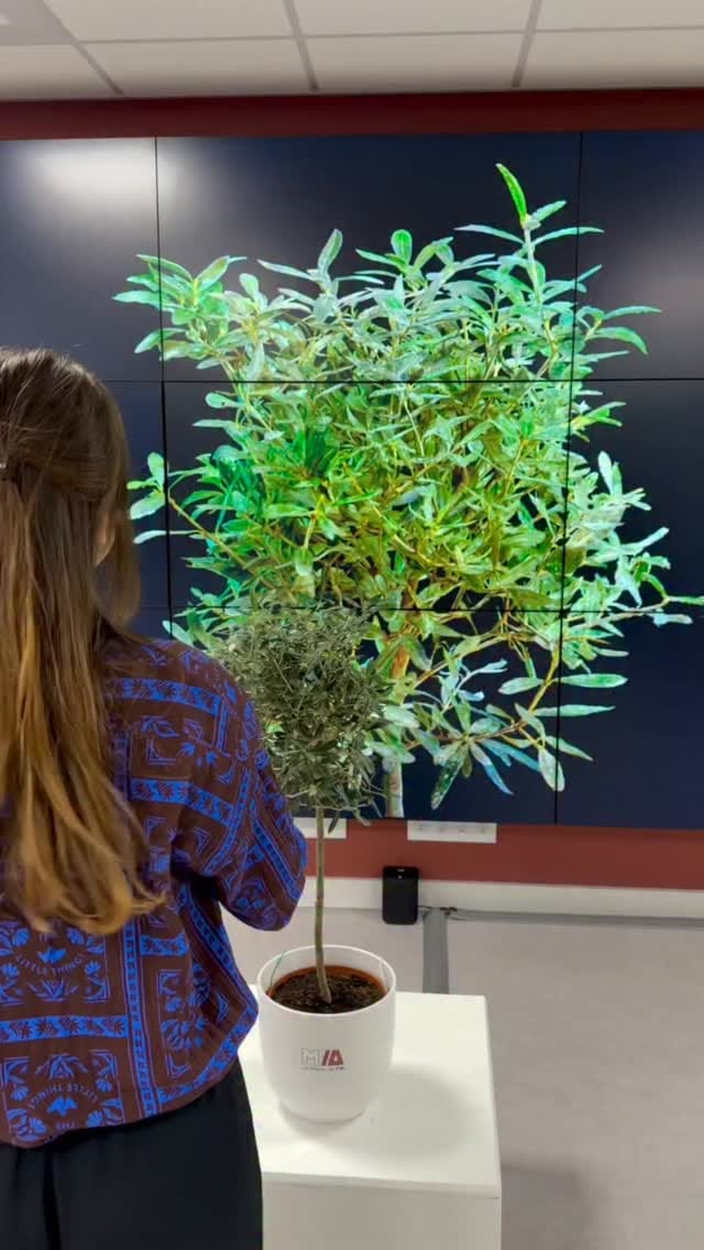Post 5 by Exhibition, Technology & Event Company Dubai on Instagram (video)