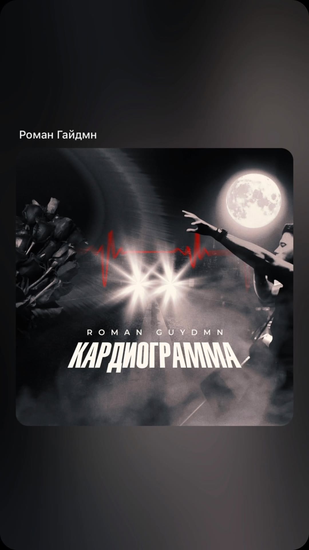 Post 9 by Роман Гайдмн | Roman Guydmn on Instagram (video)