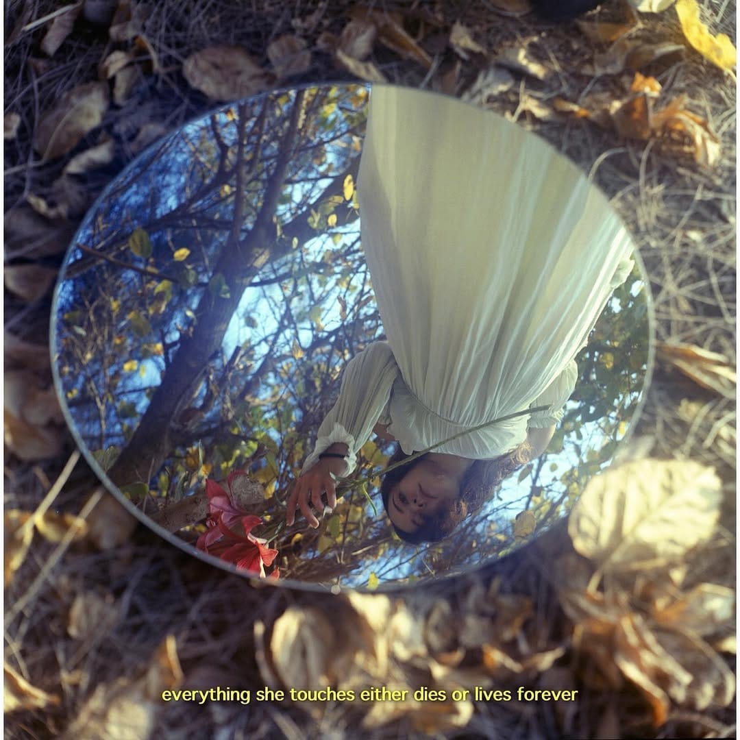 Post 8 by A. Haitham El Assal on Instagram (image)