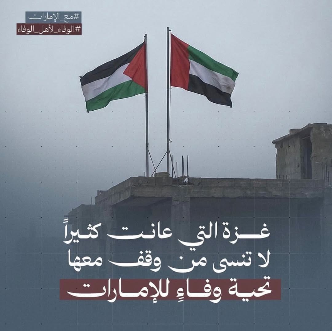 Post 3 by Yousef Shahen on Instagram (image)