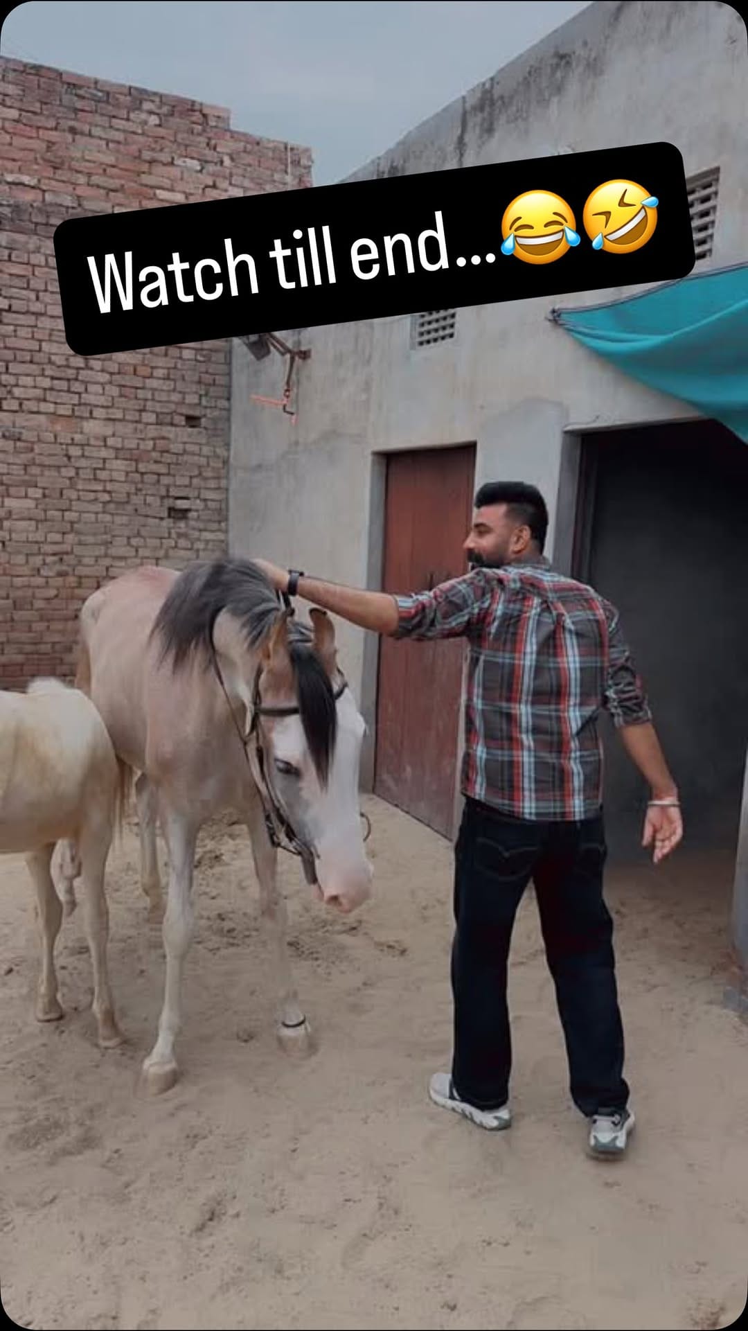 Post 7 by ਭਾਊ (منیندر سنگھ) on Instagram (video)