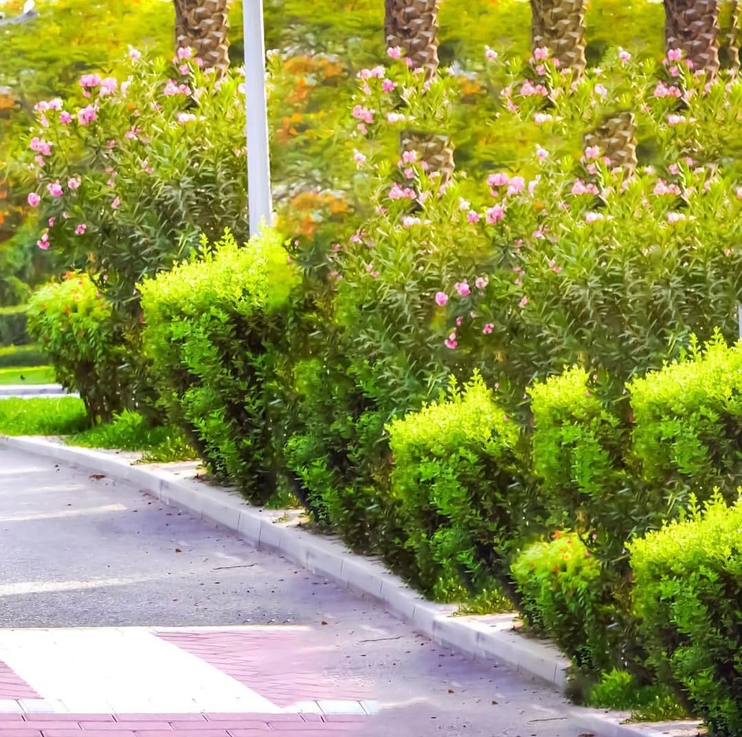 Post 10 by مكتب تاجير سيارات في دبي Car rental in Dubai🇦🇪 on Instagram (image)