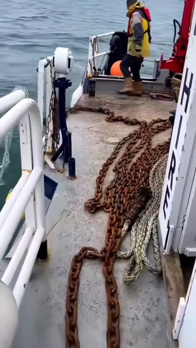 Post 4 by Avash Darya Kia آوش دریا کیا on Instagram (video)