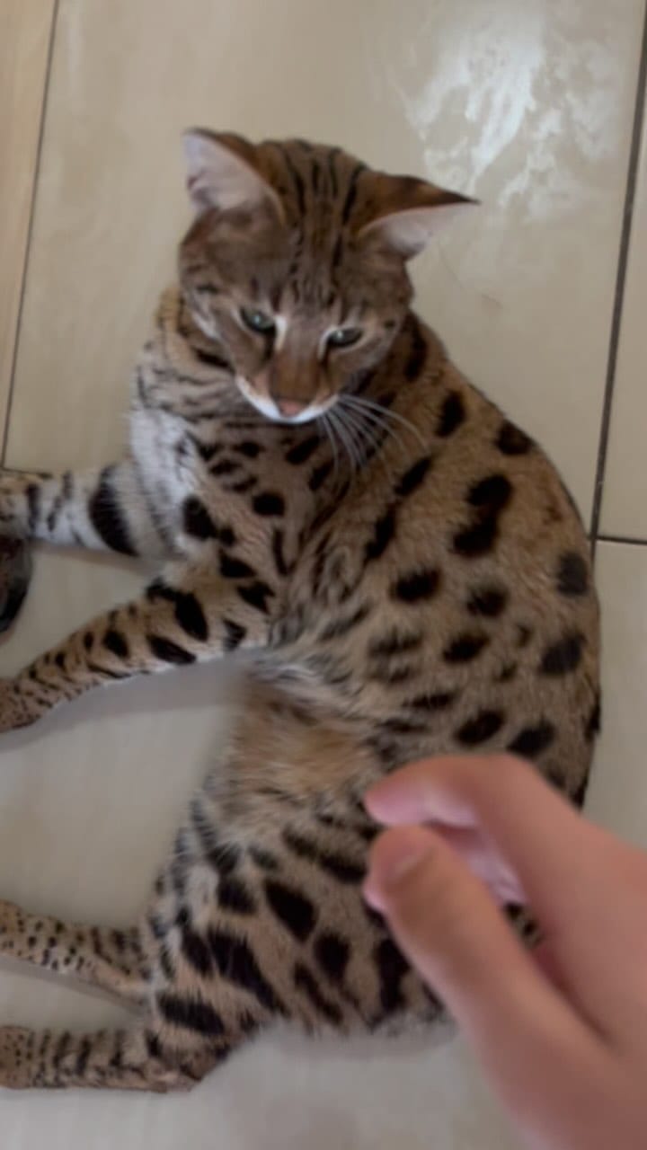 Post 5 by Doash on Instagram (video)