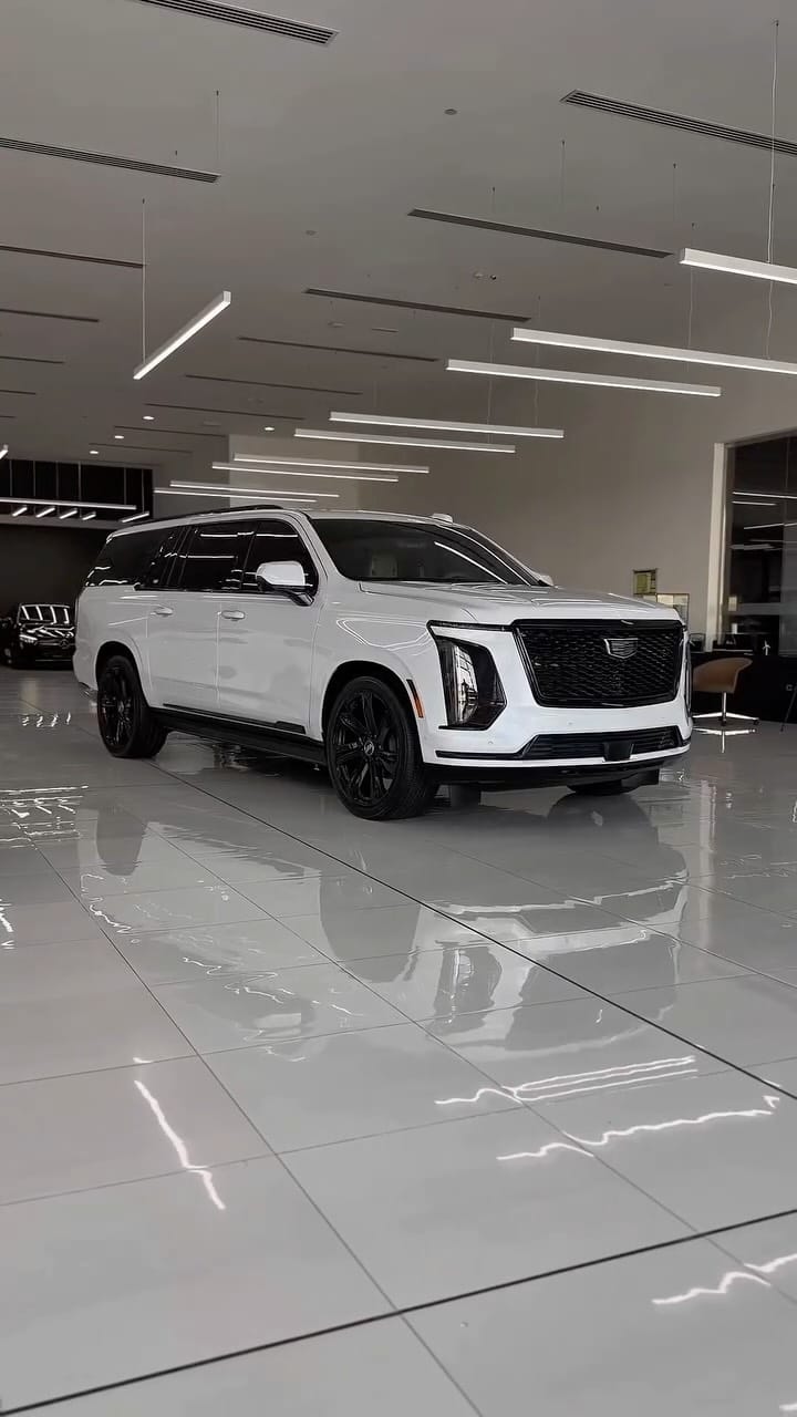 Post 4 by Mohammed Ewida on Instagram (video)