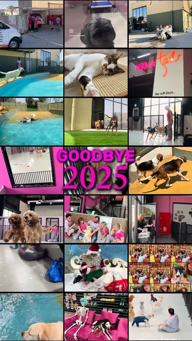 Post 6 by URBAN TAILS PET RESORT DUBAI on Instagram (video)