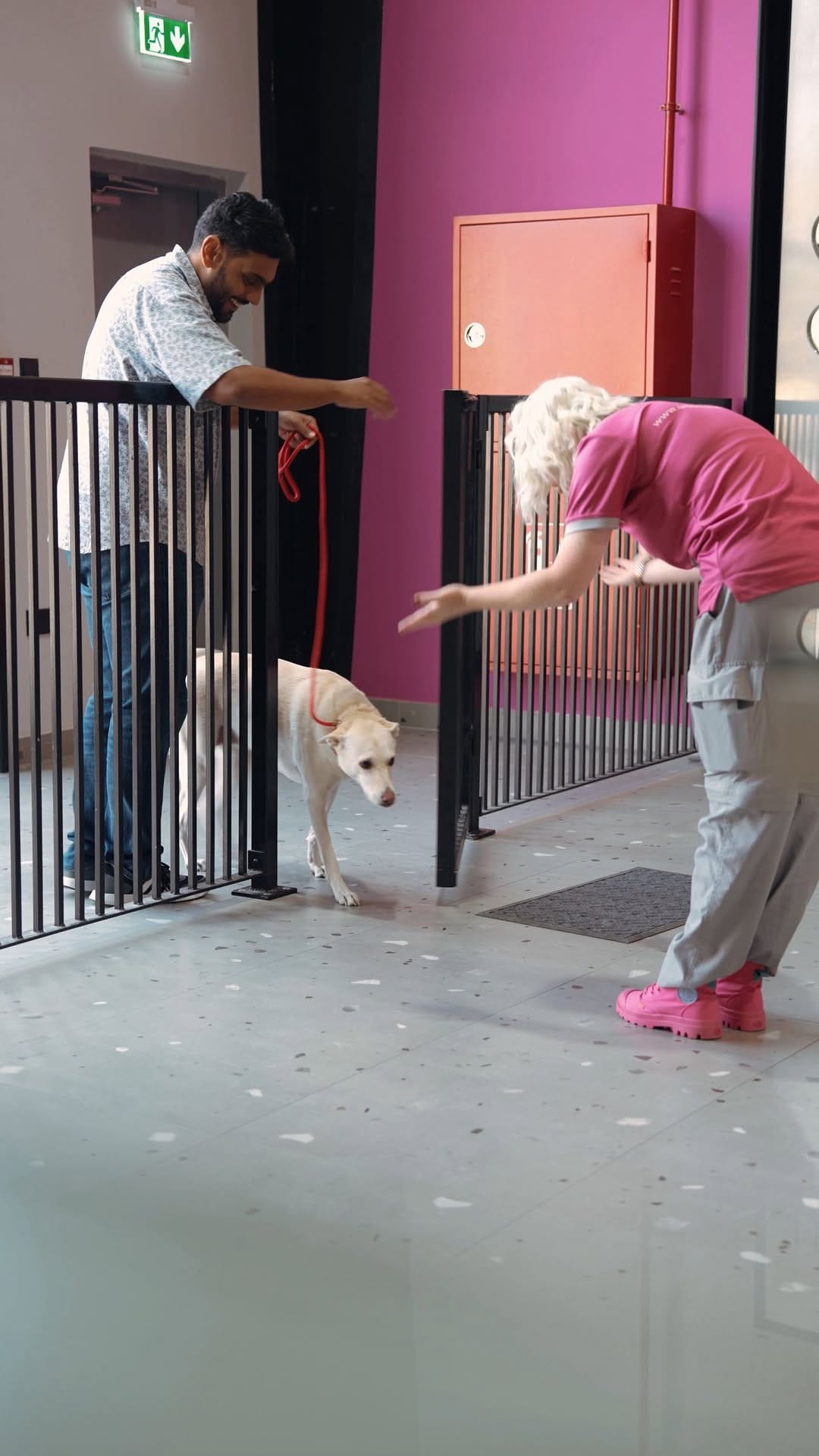 Post 8 by URBAN TAILS PET RESORT DUBAI on Instagram (video)