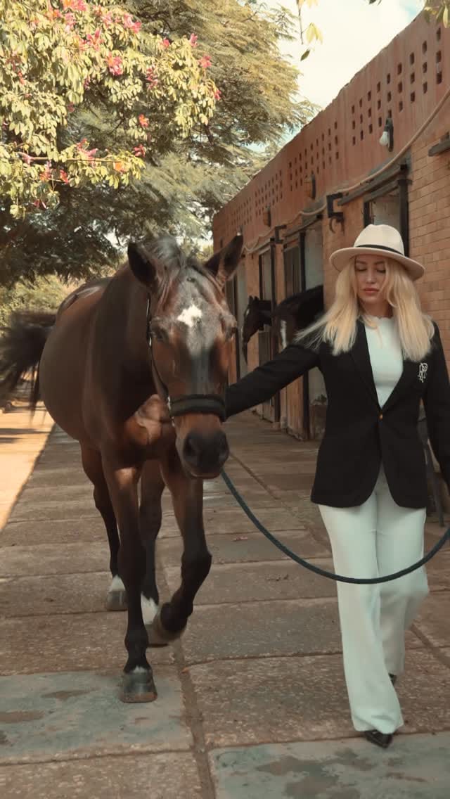 Post 9 by Patricia Bucholc on Instagram (video)