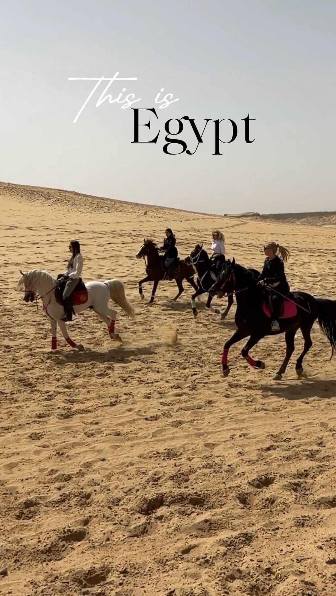 Post 4 by Patricia Bucholc on Instagram (video)