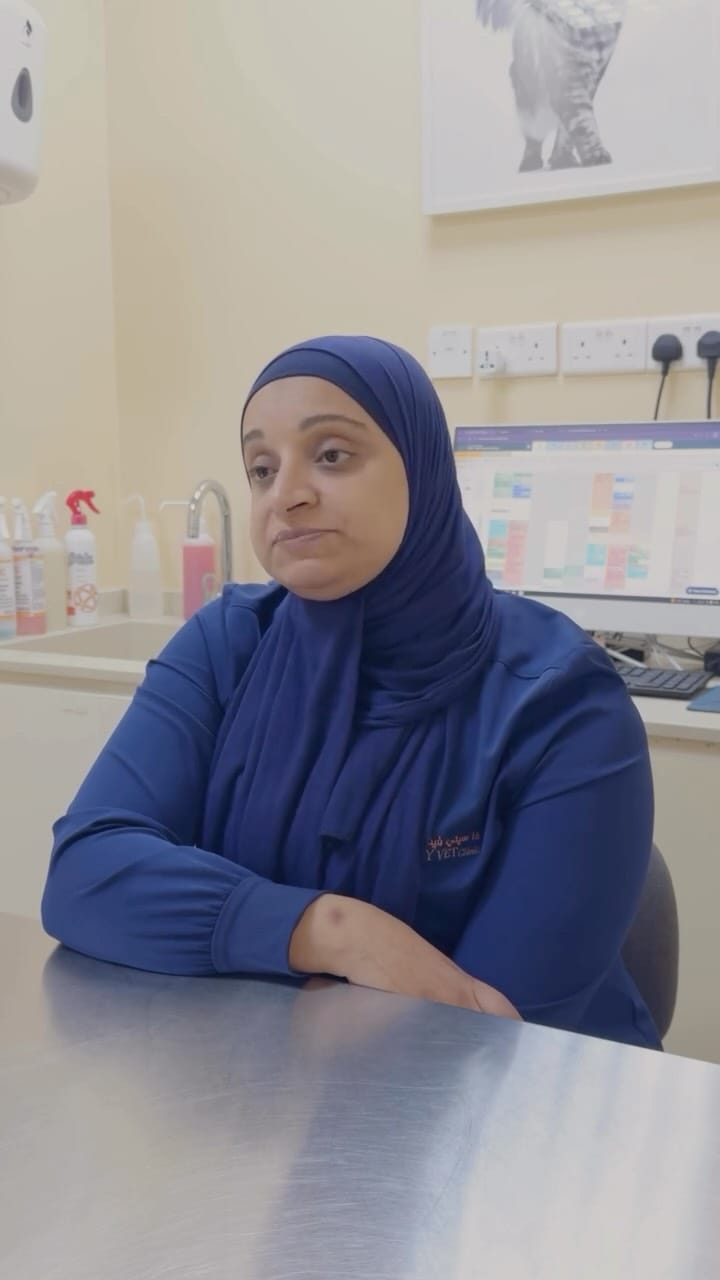 Post 3 by The City Vet Clinic on Instagram (video)