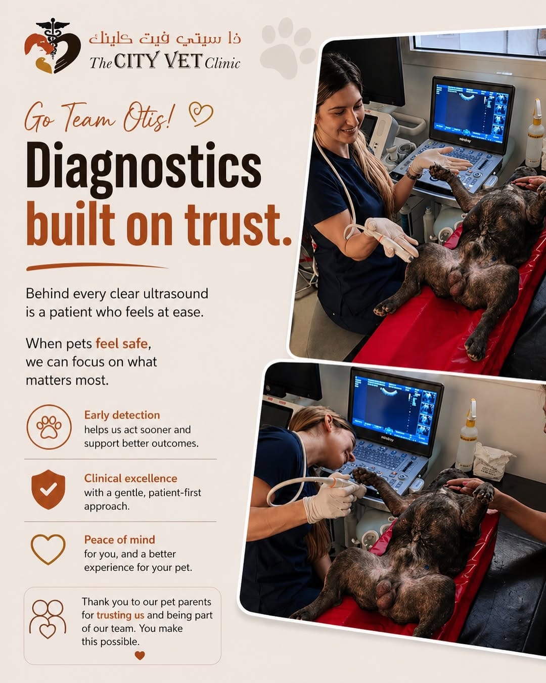 Post 6 by The City Vet Clinic on Instagram (image)
