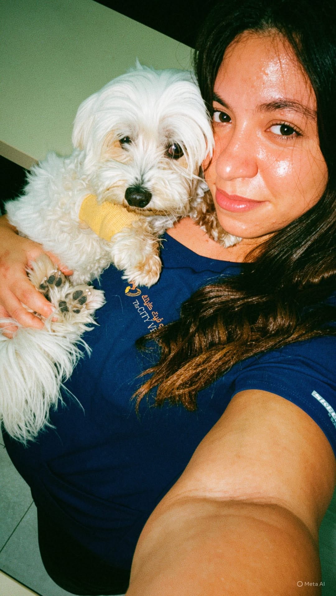 Post 4 by The City Vet Clinic on Instagram (video)
