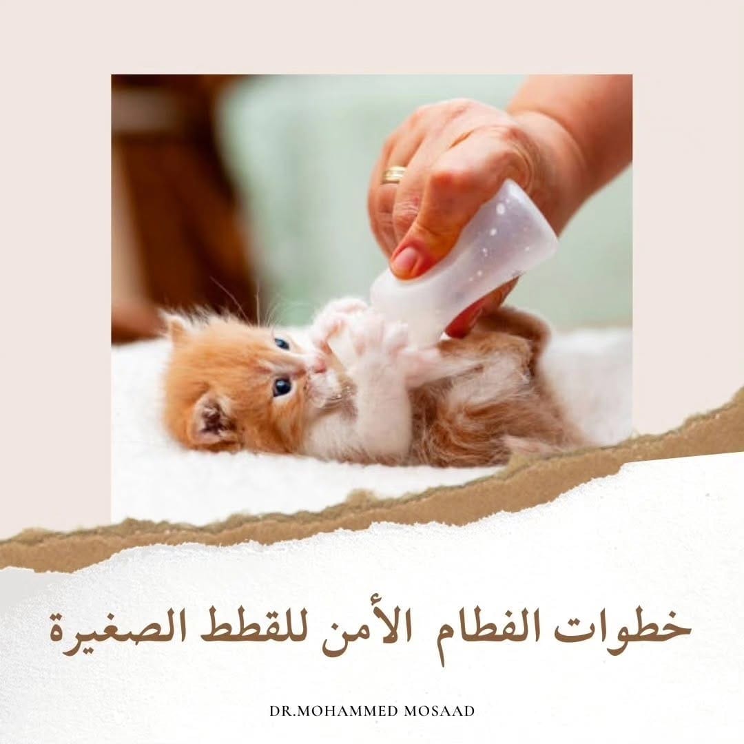 Post 4 by Dr_mohammed mosaad | د.محمد مسعد on Instagram (carousel)