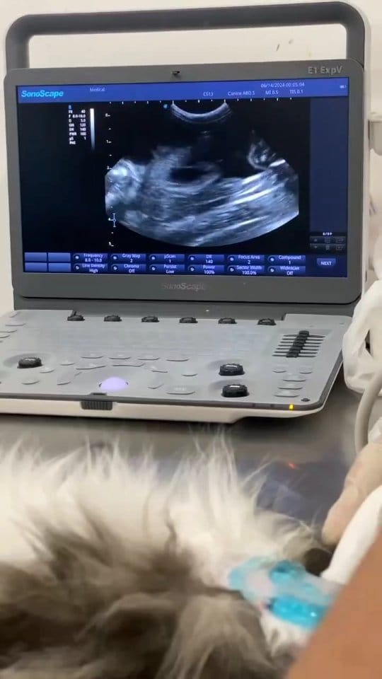 Post 9 by Dr_mohammed mosaad | د.محمد مسعد on Instagram (video)