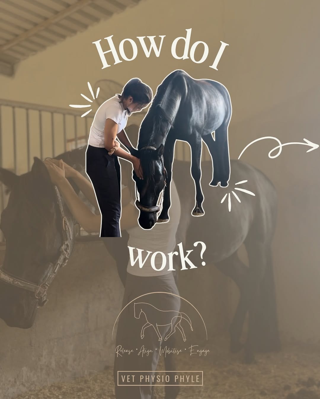 Post 8 by Kallista Charles - Vet Physio Phyle on Instagram (carousel)
