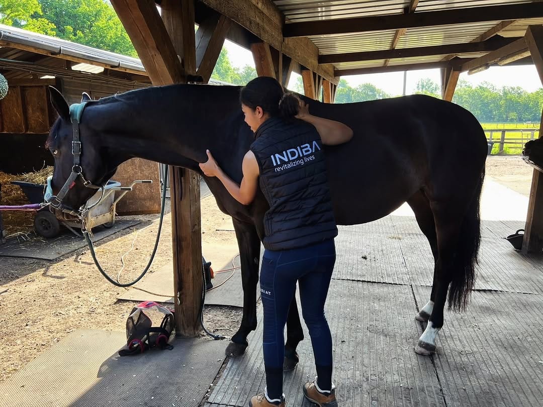Post 6 by Kallista Charles - Vet Physio Phyle on Instagram (image)