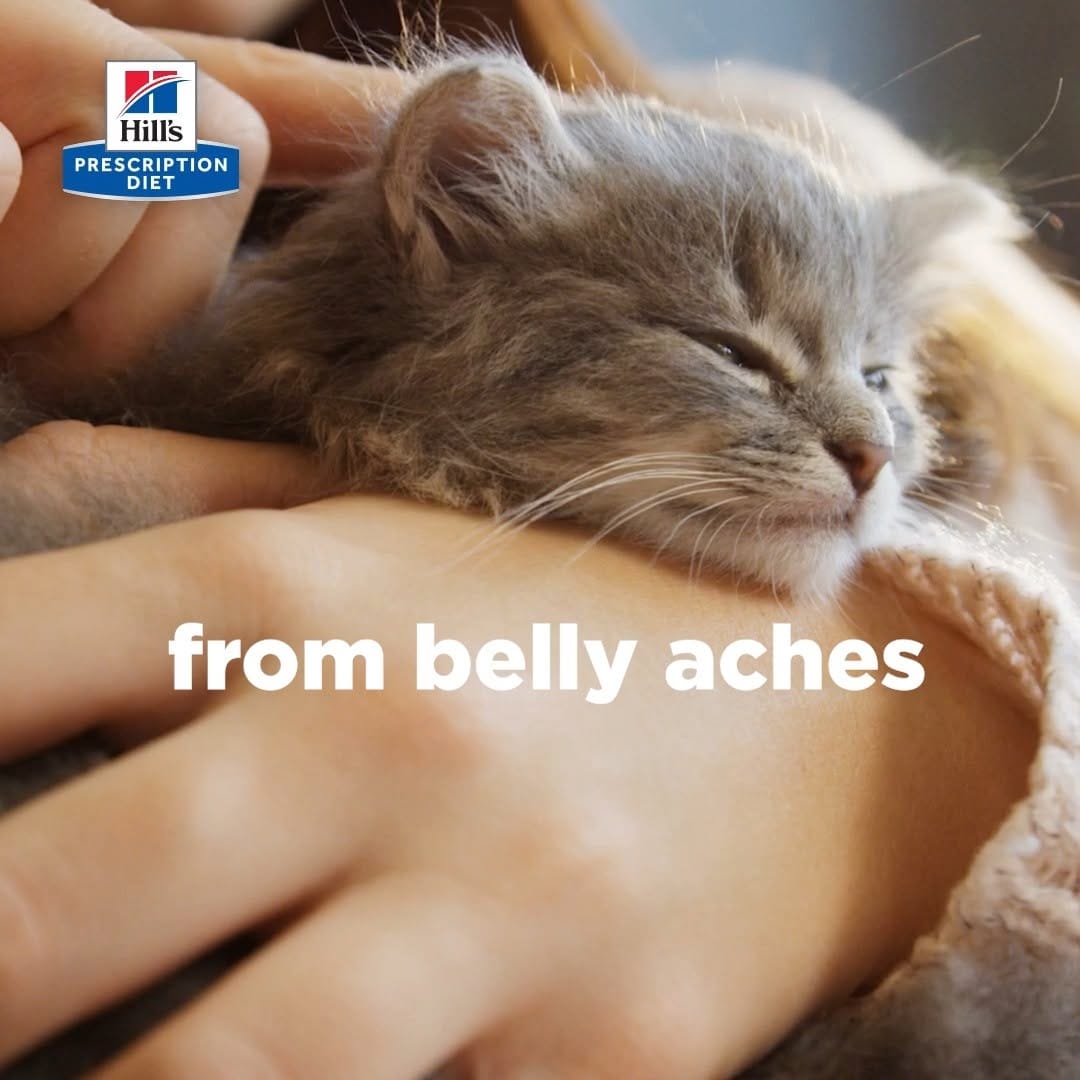 Post 1 by Hill's Pet UAE on Instagram (video)