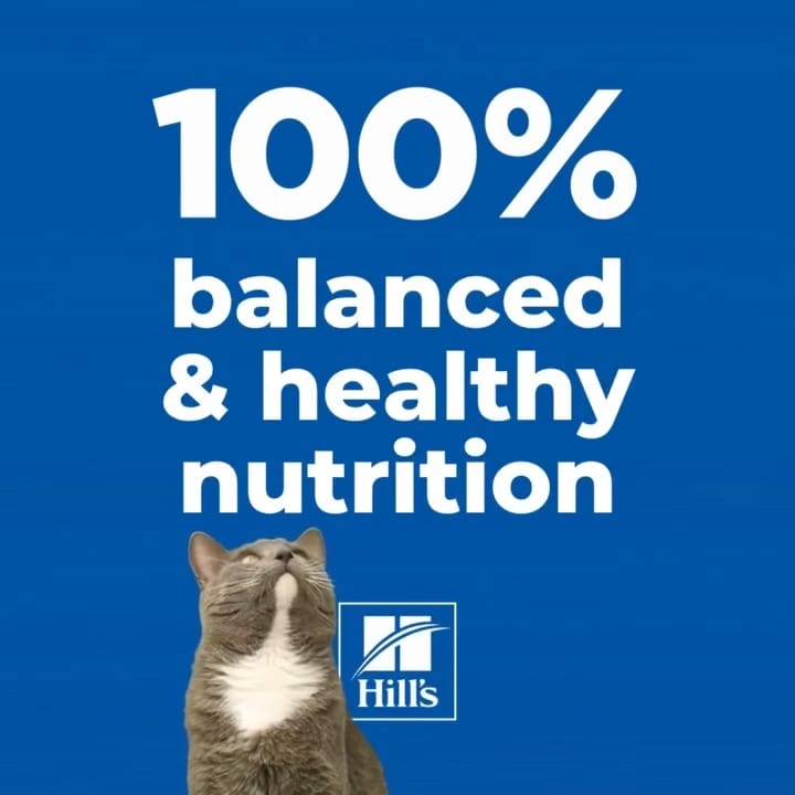Post 8 by Hill's Pet UAE on Instagram (video)