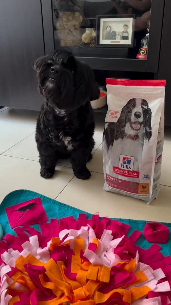 Post 3 by Hill's Pet UAE on Instagram (video)