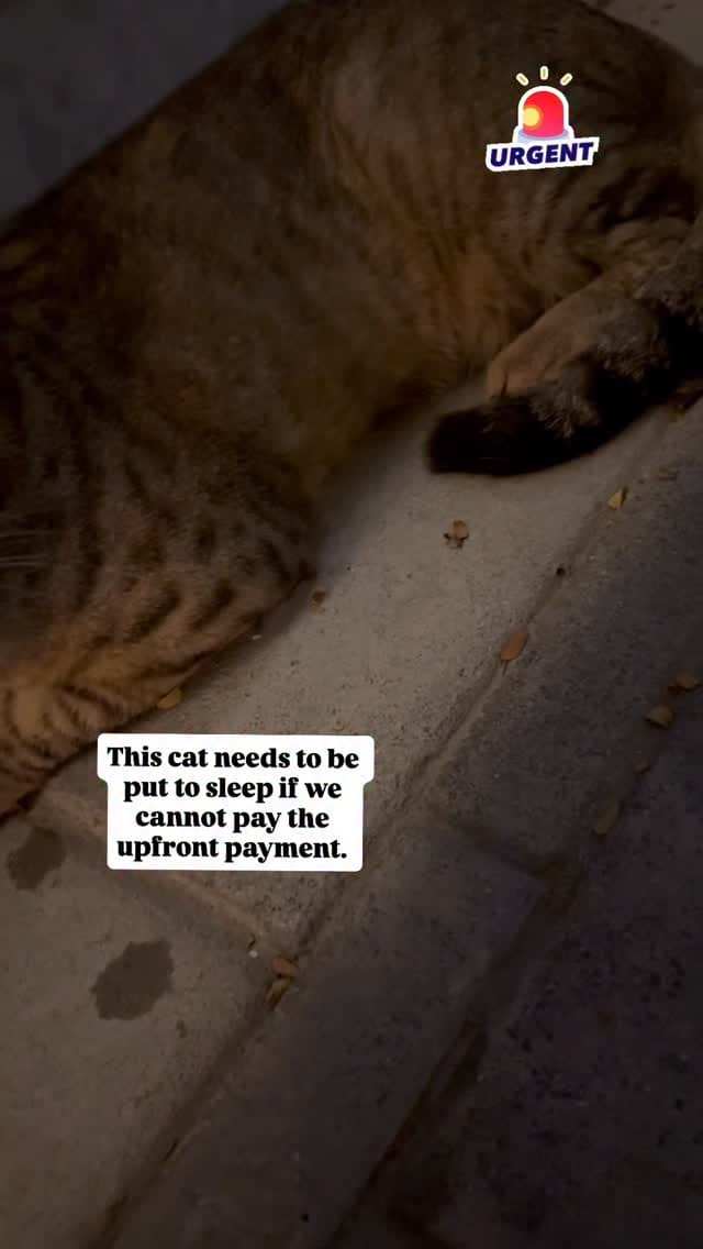Post 1 by Vanessa Ciranni on Instagram (video)