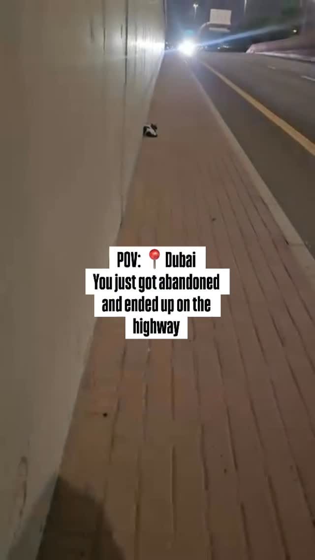 Post 7 by Vanessa Ciranni on Instagram (video)