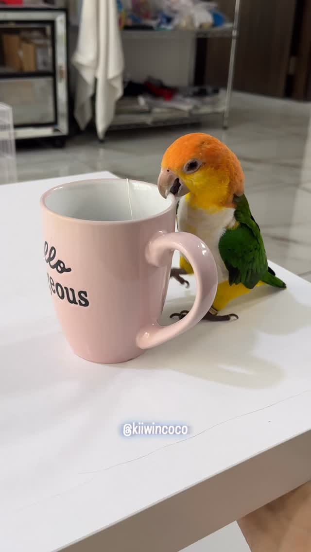 Post 3 by Kiiwincoco on Instagram (video)