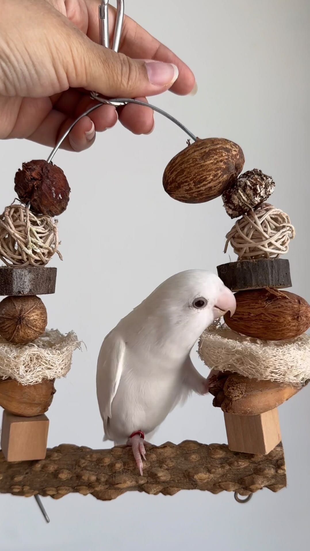 Post 2 by Kiiwincoco on Instagram (video)