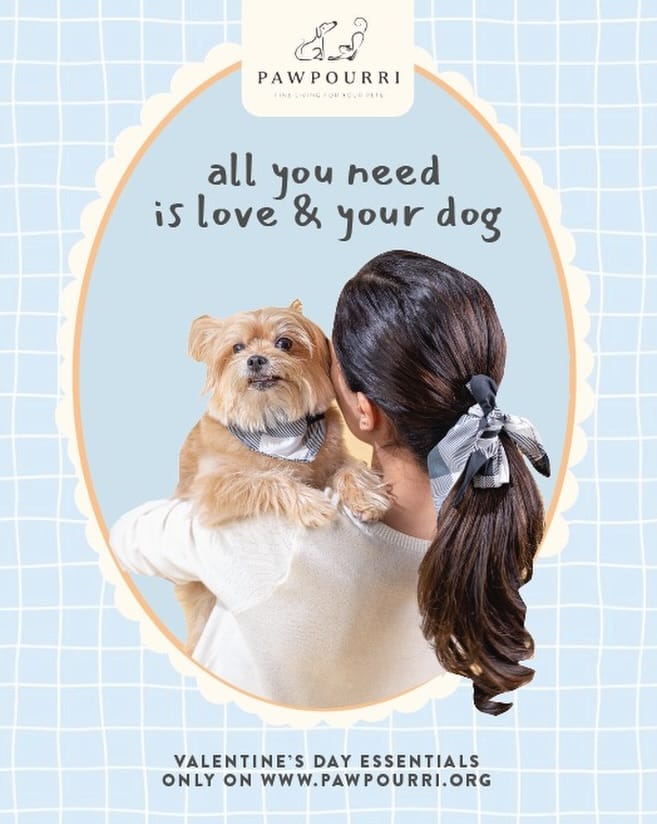 Post 9 by Pawpourri on Instagram (image)