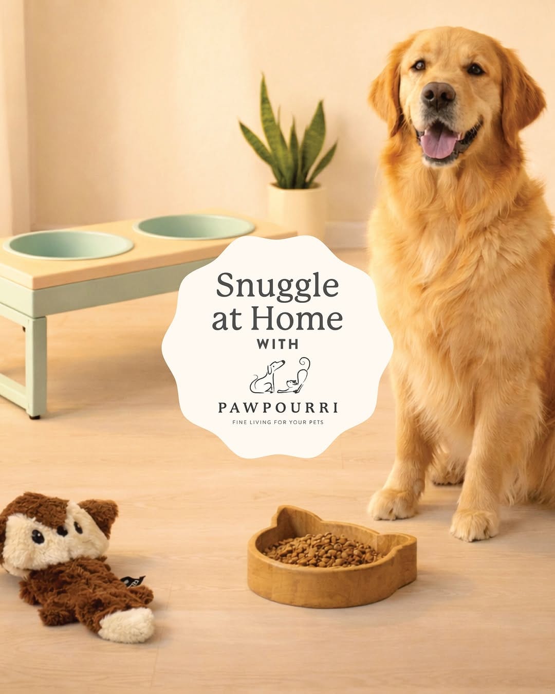 Post 2 by Pawpourri on Instagram (image)