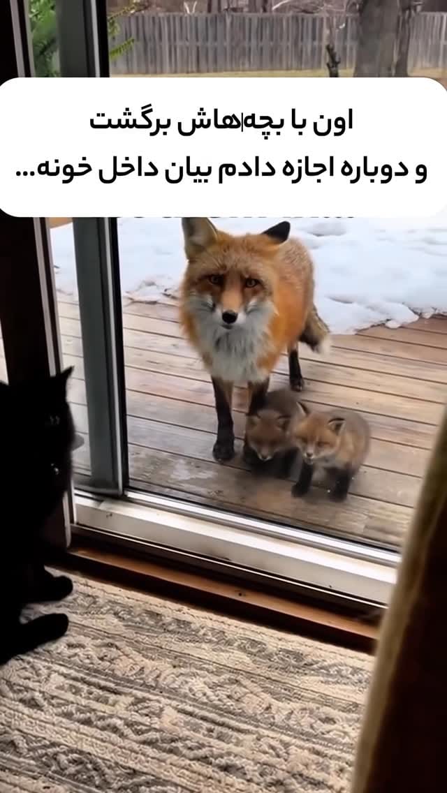 Post 4 by -shayan | شایان on Instagram (video)