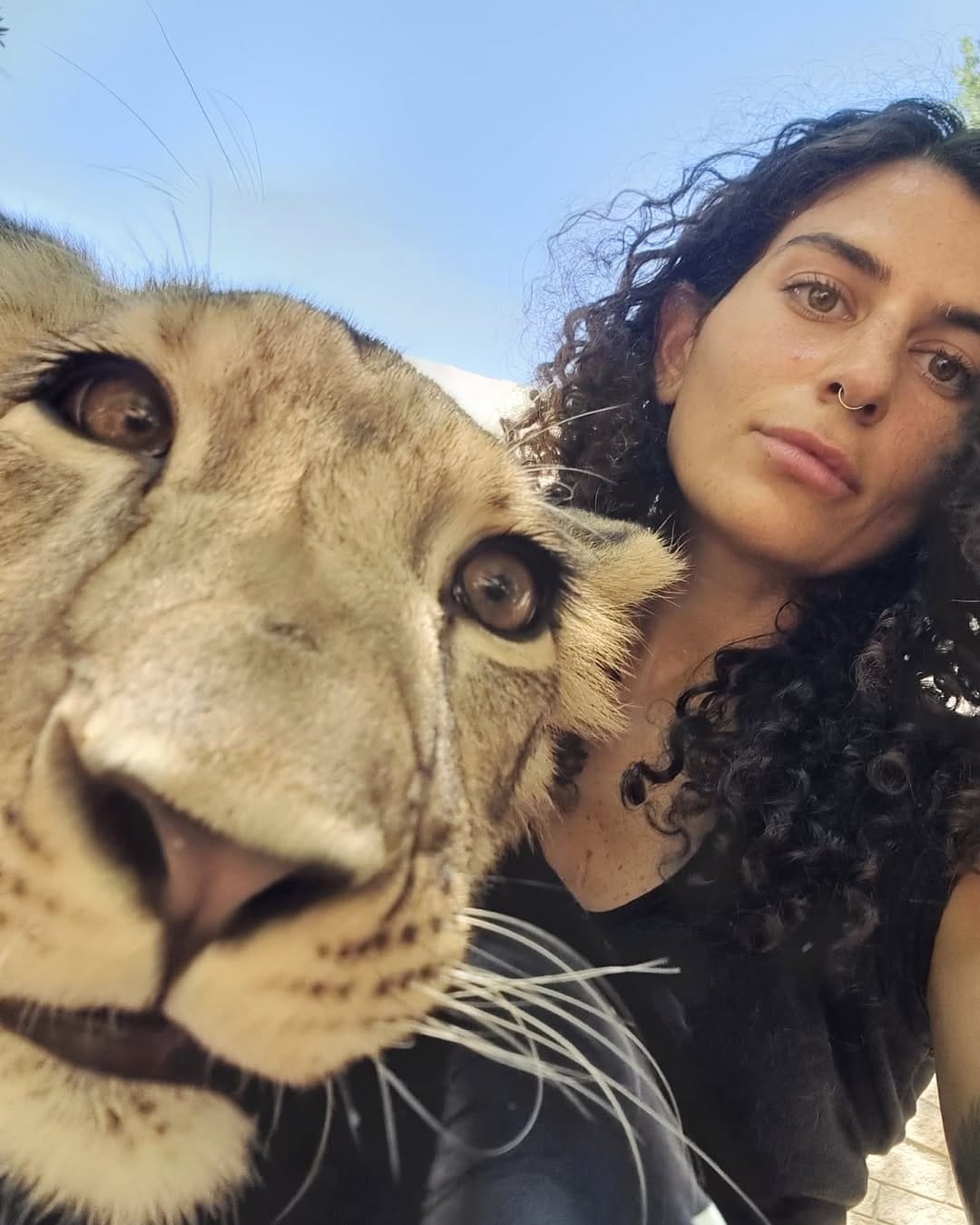Post 9 by Tamara Qabazard on Instagram (carousel)