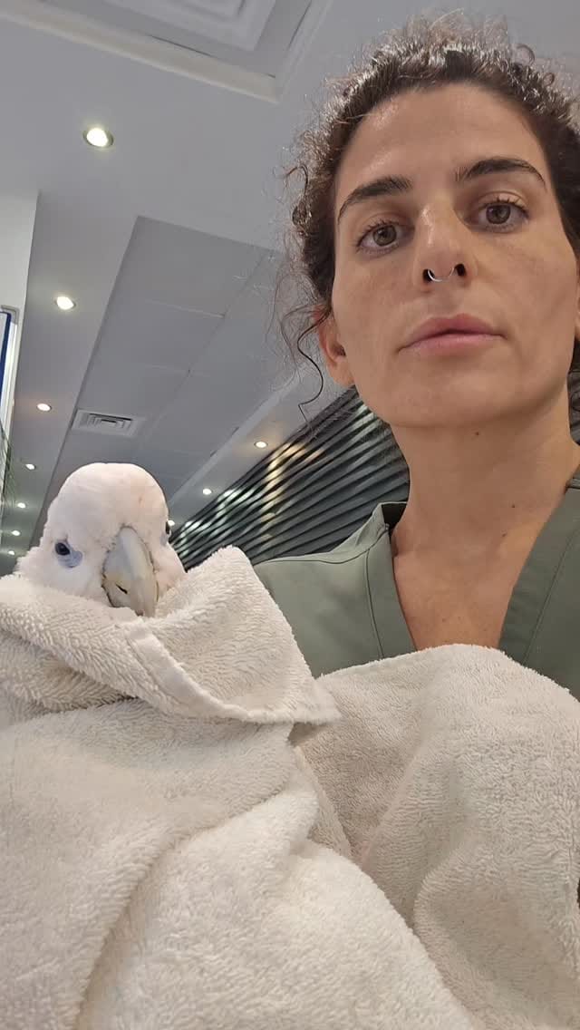 Post 4 by Tamara Qabazard on Instagram (video)