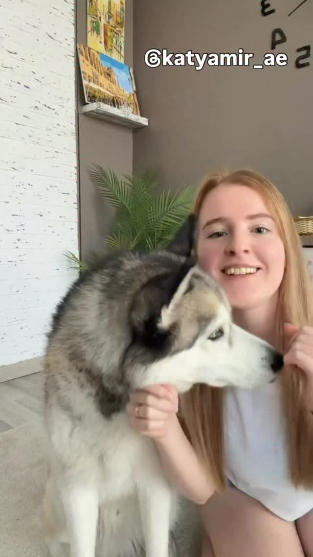 Post 8 by Katya & Amir on Instagram (video)