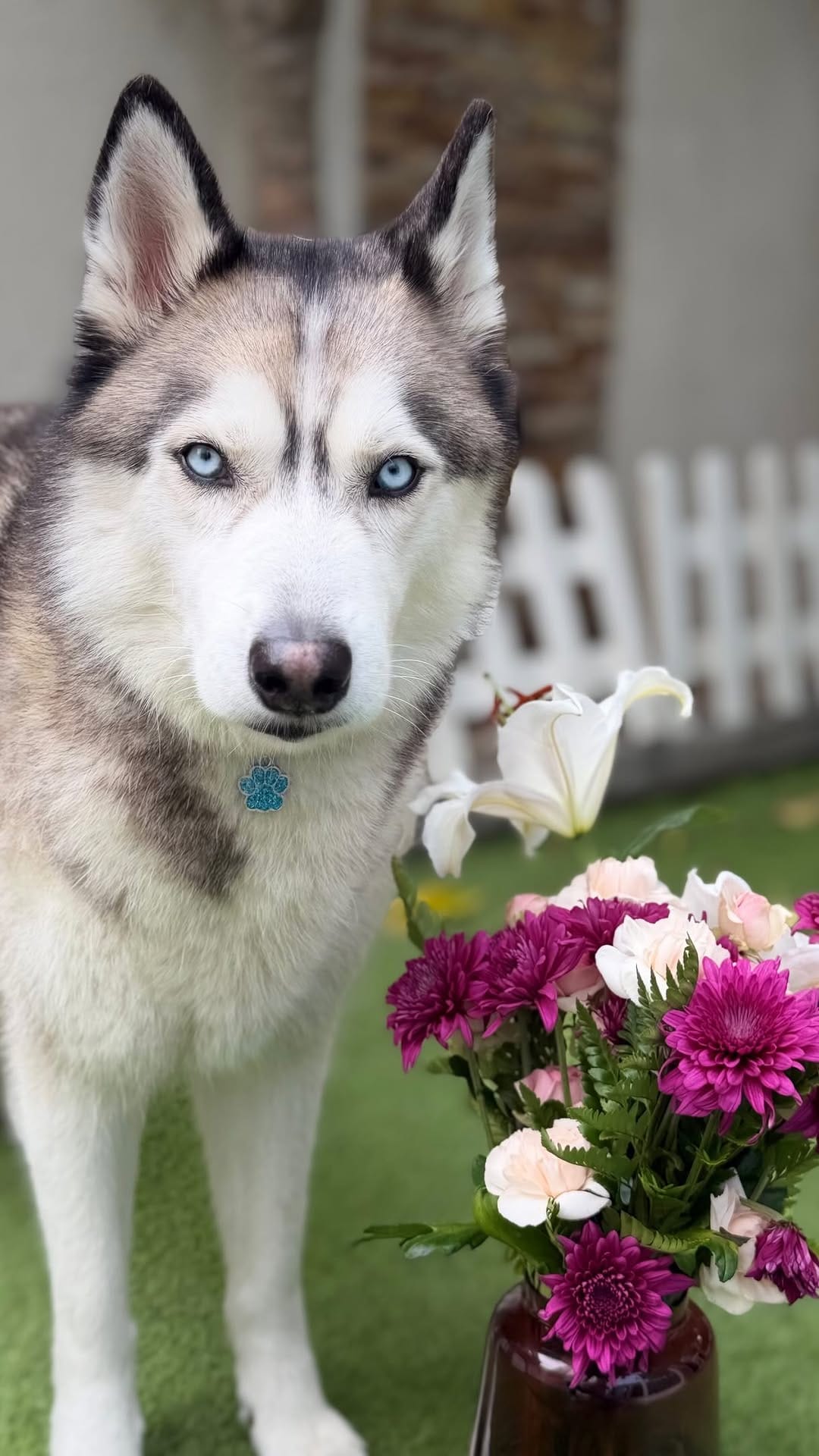 Post 2 by Katya & Amir on Instagram (video)