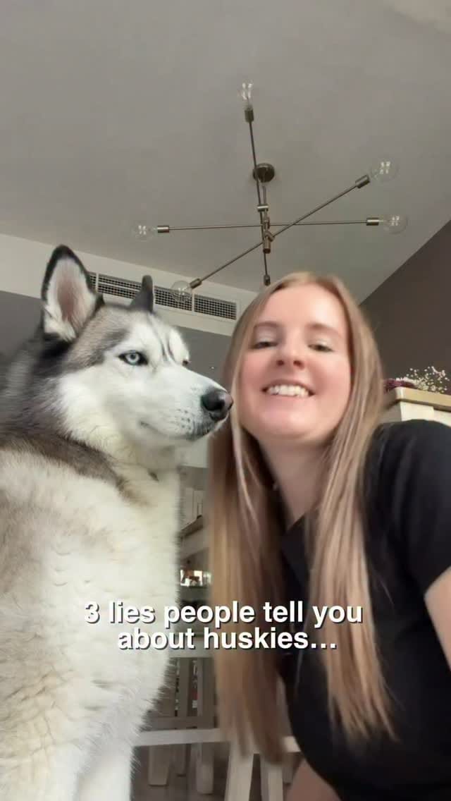 Post 4 by Katya & Amir on Instagram (video)