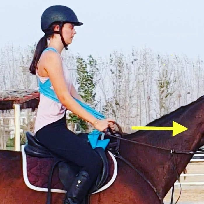 Post 9 by Ride in Balance on Instagram (image)