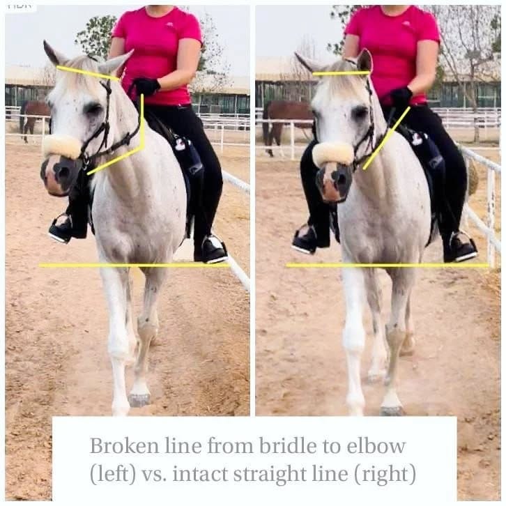 Post 2 by Ride in Balance on Instagram (carousel)