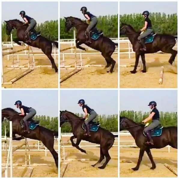 Post 10 by Ride in Balance on Instagram (carousel)